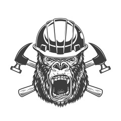 Ferocious gorilla head in builder helmet © DGIM studio