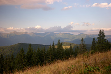 Majestic mountains landscape with light fog. Magical beauty of ukrainian summer mountains and forests. Beautiful scenery of the nature in Carpathian mountains.