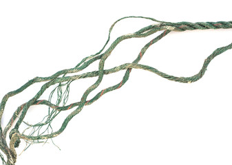 old rope on white background.