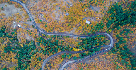 aerial view of autumn colors