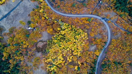 aerial view of autumn colors