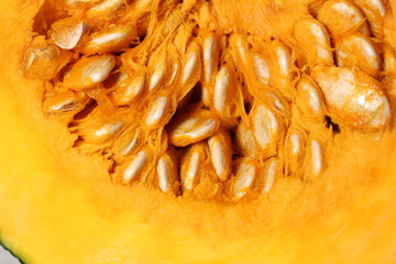 カボチャの断面