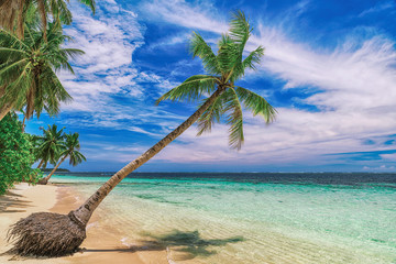 Beautiful beach. View of nice tropical beach with palms around. Holiday and vacation concept....