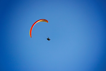 Paraglider