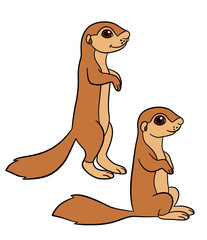Cartoon animals. Two little cute babies xerus.