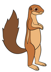 Cartoon animals. Little cute xerus smiles.