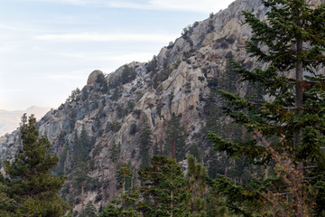 View of mountains through trees on the Mt. Whitney Trail near Lone Pine, California, USA