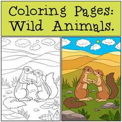Coloring Pages: Wild Animals. Two little cute xeruses.