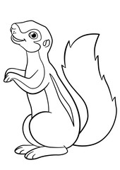 Coloring pages. Little cute xerus smiles.