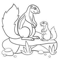 Coloring pages. Mother xerus with her little baby.