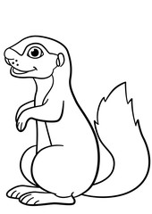 Coloring pages. Little cute baby xerus smiles.