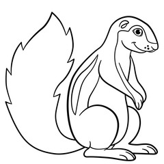 Coloring pages. Little cute xerus smiles.