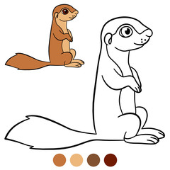 Color me: xerus. Little cute baby xerus.