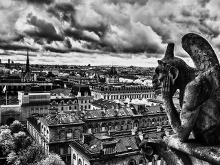 Notre Dame Gargoyles Paris France