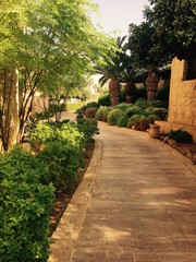 Fototapeta premium Stone path green trees
