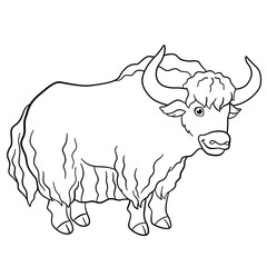 Coloring pages. Cute beautiful yak smiles.
