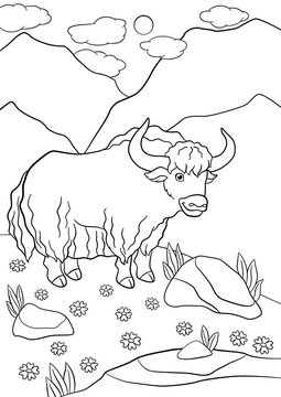 Coloring pages. Cute beautiful yak smiles.