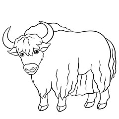 Coloring pages. Cute beautiful yak smiles.