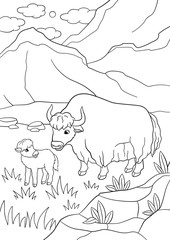 Coloring pages. Beautiful yak with little baby yak.