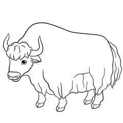 Coloring pages. Cute beautiful yak smiles.