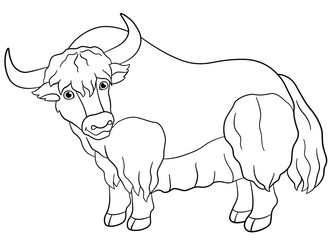 Coloring pages. Cute beautiful yak smiles.