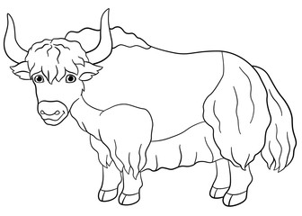 Coloring pages. Cute beautiful yak smiles.