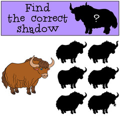 Educational game: Find the correct shadow. Cute beautiful yak.