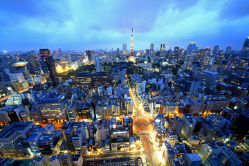Fototapeta premium 東京夜景