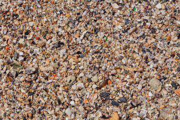 Sea sand texture made of shell and stone pieces.