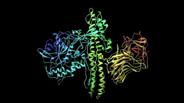 Botulinum molecule 3d animation  Ribbon representation Seamless looping animation