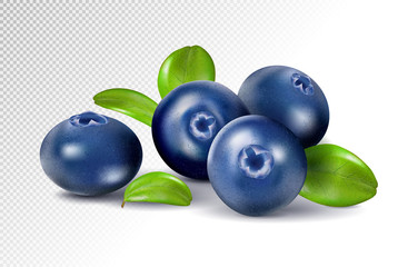Blueberries isolated on white background. Quality realistic vector, 3d illustration