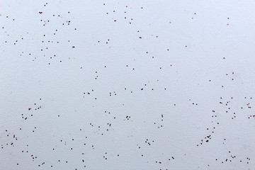 Texture red small glitters on a white relief background