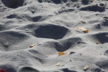 Obraz premium Beach Day