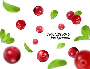 Falling cranberry isolated on white background, full depth of field. Quality realistic vector, 3d illustration