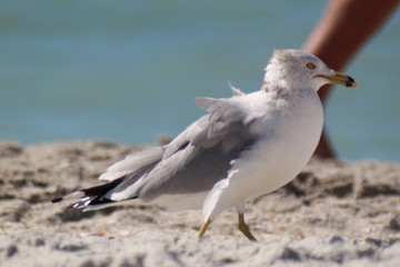 Beach Day