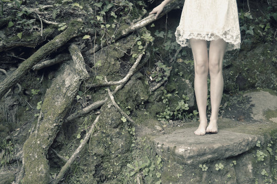 Inoc&ecirc;ncia e Degrada&ccedil;&atilde;o 