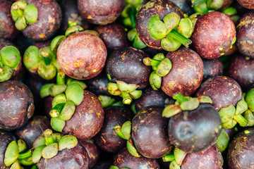 Mangosteen and cross section showing the thick purple skin and white flesh of the queen of friuts,...