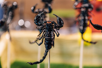 Fried black scorpions on skewers., Street food stall in Thailand selling deep fried Insects.