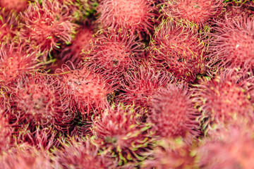 Organic fresh rambutan for sale at the fruit market. Rambutan (Nephelium lappaceum) is a medium-sized tropical tree in the family Sapindaceae