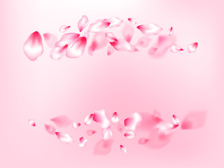 Fototapeta na wymiar Japanese cherry blossom pink flying petals