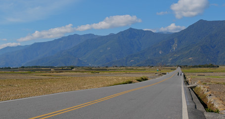 Chishang rice meadow field