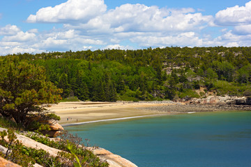 Fototapeta premium Sandy beach and forest in Acadia National Park, Maine, USA. Nature and Atlantic Ocean beach with tourists.