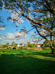 The beautiful summer landscape with a home and green garden