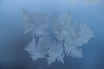 Icy Cold Forms of Beauty