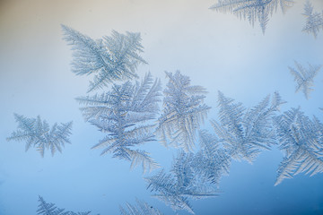 Ice Plumes