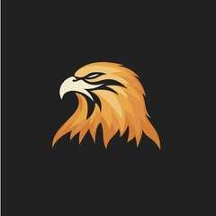 Eagle Head Logo Designs