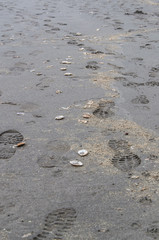 Footprint on the Beach