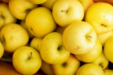 Yellow apples close up fresh beautiful fruit background , delicious apples in Aomori Tohoku city also has the largest apple farming land in Japan.