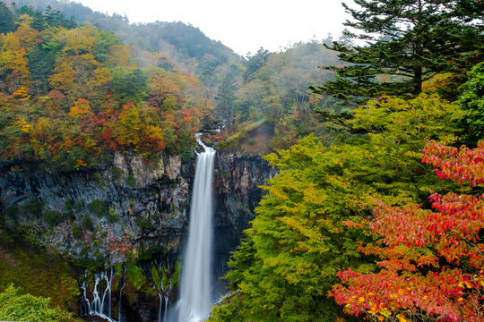 Kegon Waterfall from lake Chuzenji in Nikko national park , Kegon waterfall against white isolated sky in landscape  and autumn trees in front, beautiful waterfall in autumn season in Tochigi ,Japan.