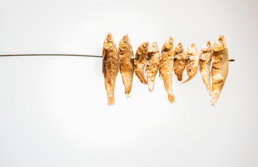 Grilled fish that are fed on a white background with free space